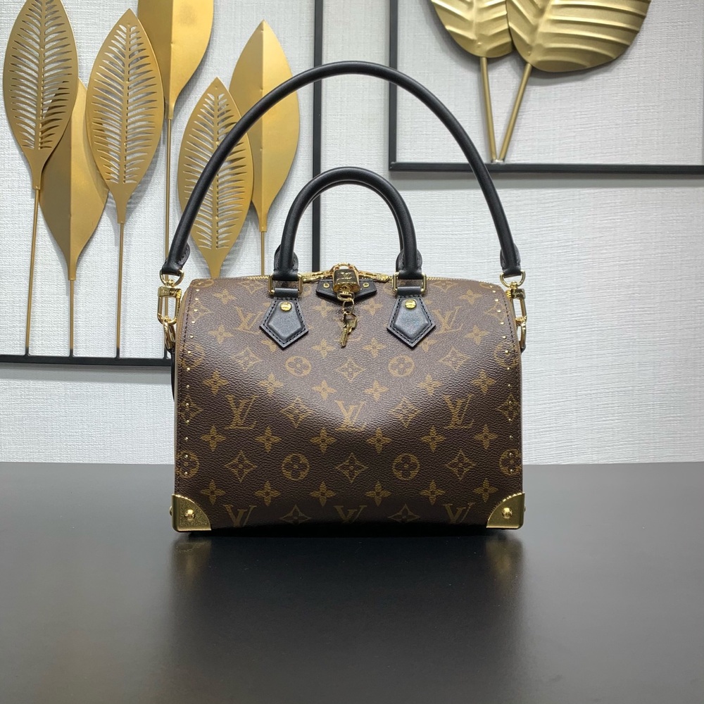 Louis Vuitton Speedy 25 Trunk